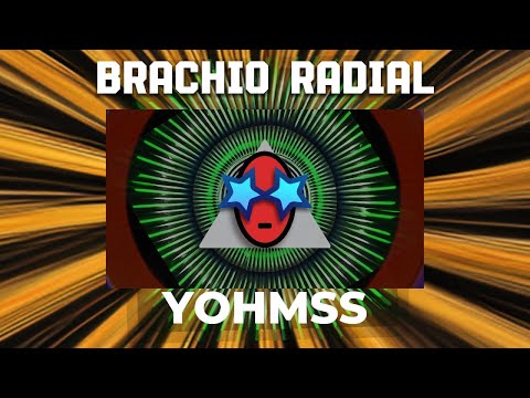 Yohmss - Brachio Radial